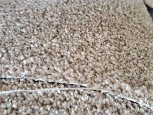 lot 146 image: Carpet Remnant