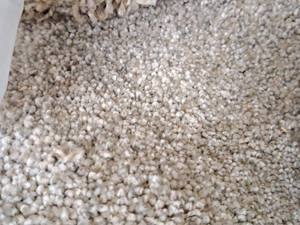 lot 149 image: Carpet Remnant