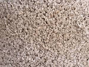 lot 151 image: Carpet Remnant 1111x78