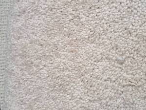 lot 157 image: White Plush Carpet Remnant 12x8.75