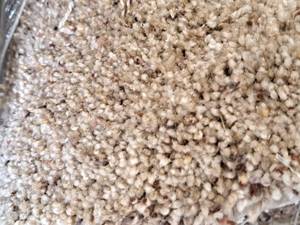 lot 868 image: CPR-13 Carpet Remnant 12