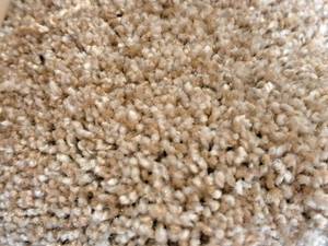 lot 863 image: CPR-25 Carpet Remnant 8.6x12