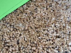 lot 865 image: CPR-74 Carpet Remnant 8x12