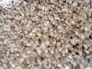 lot 861 image: CPR-102 Carpet Remnant 9x12