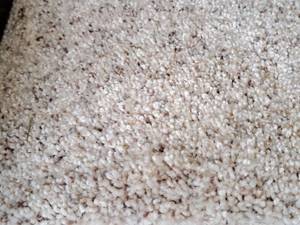 lot 860 image: CPR-55 Carpet Remnant 9.25x12