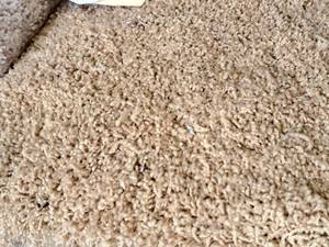 lot 799 image: CPR118 Carpet Remnant 16.7x12