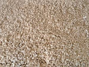 lot 845 image: CPR-43 Carpet Remnant