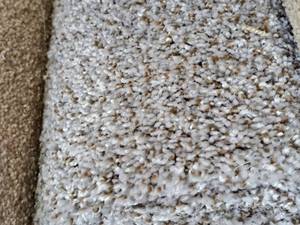lot 843 image: CPR-47 Carpet Remnant 11.9x68