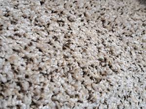 lot 161 image: Hot Pursuit Carpet Remnant 28x12