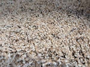 lot 164 image: TanMulti-Color Speckles Carpet Remnant 34.75x12