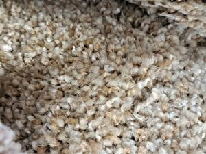 lot 165 image: Carpet Remnant