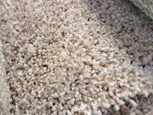 lot 167 image: Colorme Pink Speckled728 Carpet Remnant 12.25x12