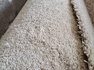 lot 168 image: Tan Dense Carpet Remnant 15.75x12
