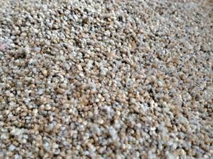 lot 174 image: Explorer E265 Carpet Remnant 27.25x12