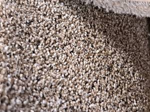 lot 182 image: WXDV Island Spice Carpet Remnant 8.5x12