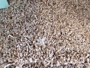 lot 184 image: Gold & Brown Carpet Remnant 42.5x12