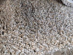 lot 186 image: Spring Fling Sand Dune Carpet Remnant 16.25x12