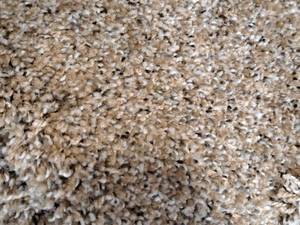 lot 187 image: SP42 46AB Carpet Remnant 26.25x12