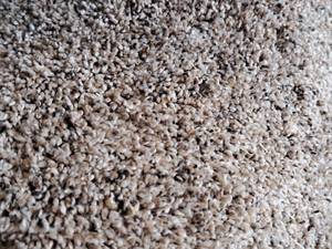 lot 190 image: Soft Sensation Turkish Delight Carpet Remnant 29.25x12