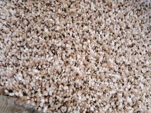 lot 191 image: Tan & Brown Speckled Carpet Remnant 36.75x12