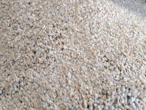 lot 192 image: Whisper Glisten Carpet Remnant 23x12