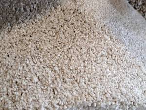 lot 196 image: TanEggshell SoftDense Carpet Remnant 28x12