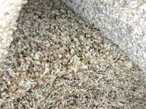 lot 197 image: ED59 E580 Carpet Remnant 20x12