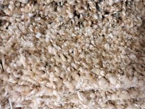 lot 198 image: Brown & Tan Dense Carpet Remnant 42.5x12