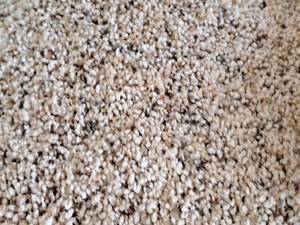 lot 199 image: CN124 9 Carpet Remnant 29.75x12