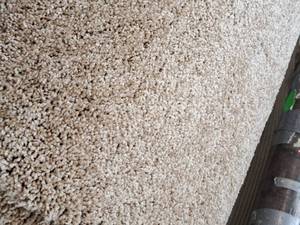lot 201 image: Top This Plus Smart Carpet Remnant 22.5x12