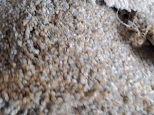 lot 203 image: SP42 838 Carpet Remnant 21x12