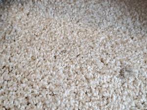 lot 204 image: Excess Corner Respite Beige Carpet Remnant 20.75x12