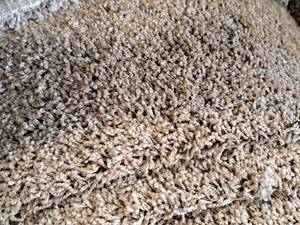 lot 209 image: SP68 Oatmeal Carpet Remnant 23.75x12