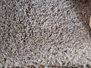 lot 211 image: Beige Carpet Remnant 31x12