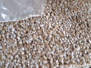 lot 212 image: ChooseMe.net Granola Carpet Remnant 22.25x12