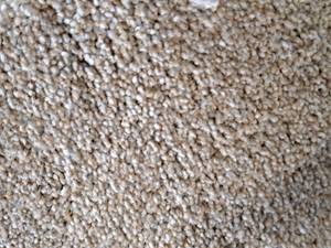 lot 213 image: Tan & Grey Speckled Carpet Remnant 26.5x12