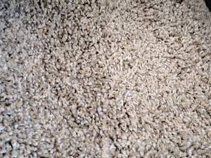 lot 216 image: Soft & Raving Drifter Carpet Remnant 23.5x12