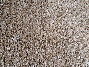 lot 217 image: SP42 823 Carpet Remnant 22.5x12