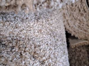 lot 218 image: SP42 1069 Carpet Remnant 28x12