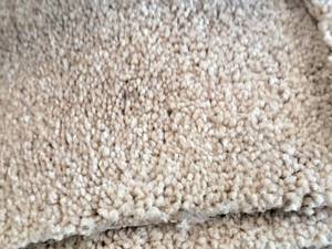 lot 219 image: Soft & Grand Peanut Shell Carpet Remnant 20.25x12