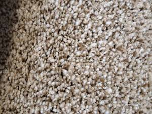 lot 884 image: CPR 107 Carpet Remnant 7.7x12