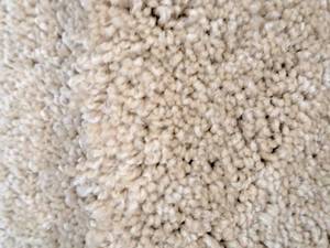 lot 881 image: CPR-26 Carpet Remnant 9x12