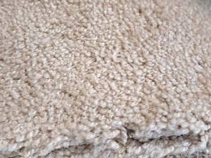 lot 227 image: Special Buy NaturalPearl Colored Dense Carpet Remnant 19.75x12
