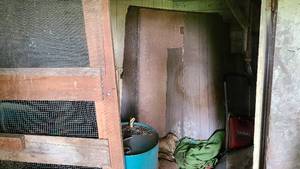 lot 81 image: Lumber and Unsolved Mysteries of the shed