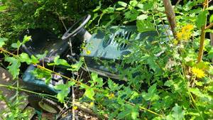 lot 85 image: For parts Only a vintage Craftsman riding mower hiding in the brush