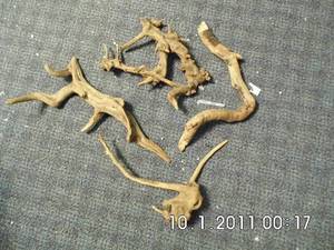 lot 5 image: Drift Wood