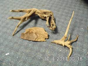 lot 6 image: Drift Wood