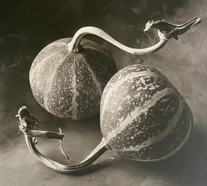 lot 200 image: Squash Limited Edition Print by Cy DeCosse