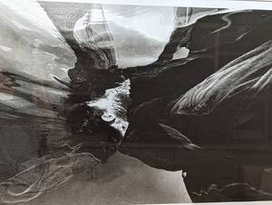 lot 181 image: Framed La Viada Black and White Abstract Print