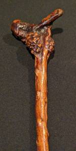 lot 354 image: Burled Wood Walking Stick